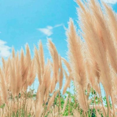 节奏战斗光剑游戏下载