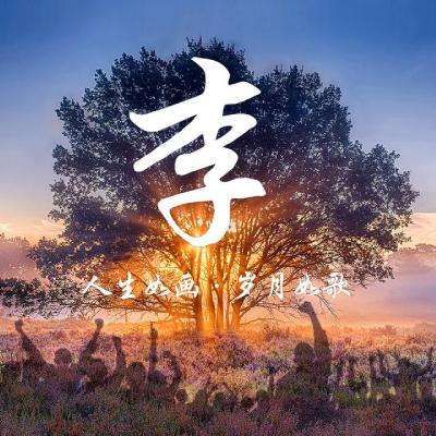 玄影最新版下载