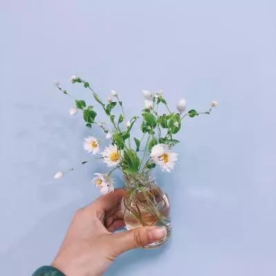 代号九牧手游